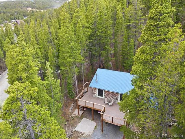 185 Alice Road Idaho Springs, CO 80452