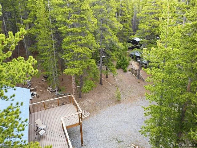 185 Alice Road Idaho Springs, CO 80452