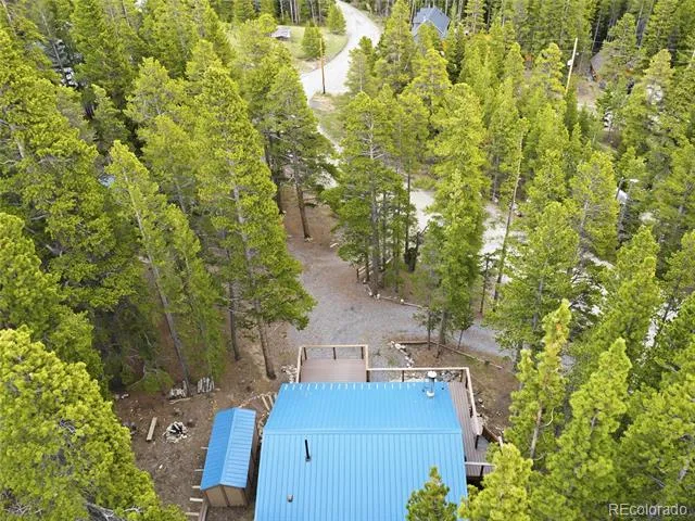 185 Alice Road Idaho Springs, CO 80452