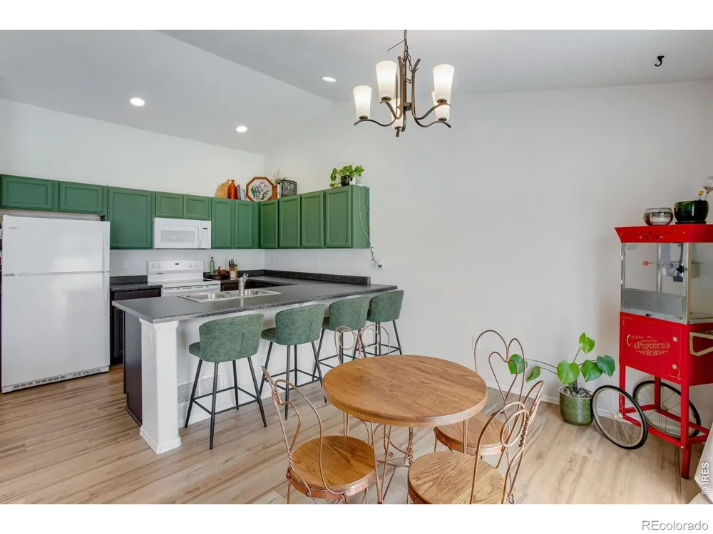928 Barasingha Street Severance, CO 80550