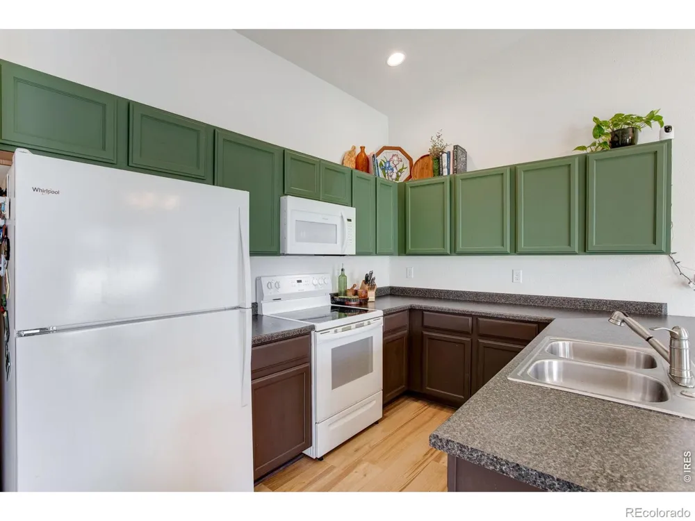 928 Barasingha Street Severance, CO 80550