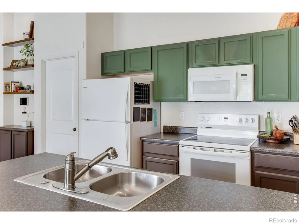 928 Barasingha Street Severance, CO 80550