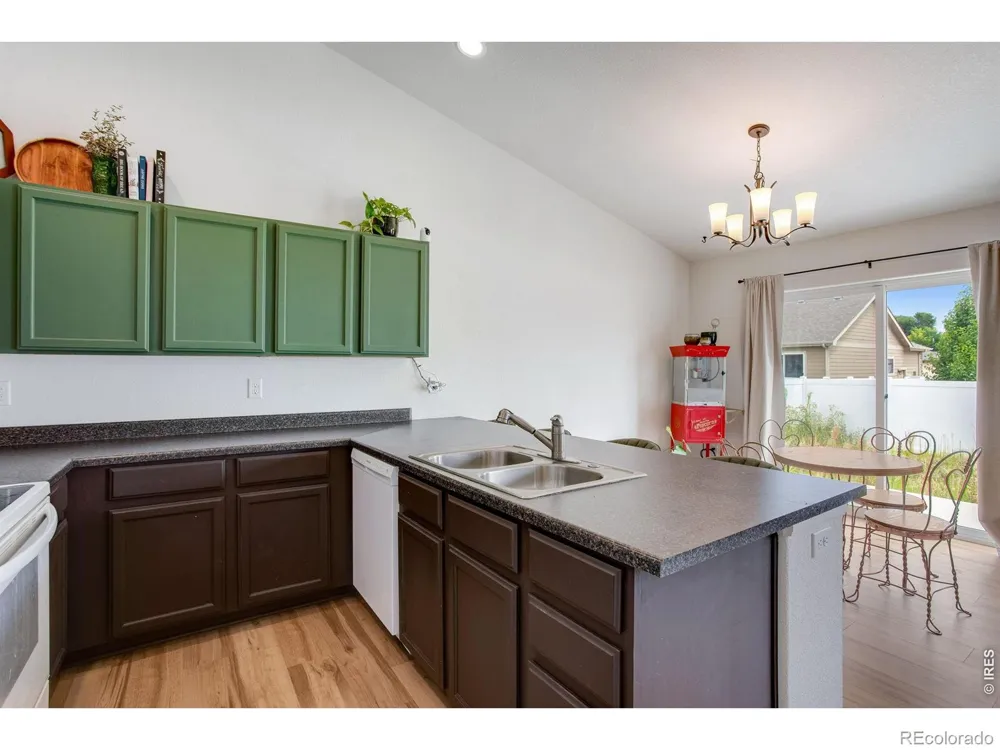 928 Barasingha Street Severance, CO 80550