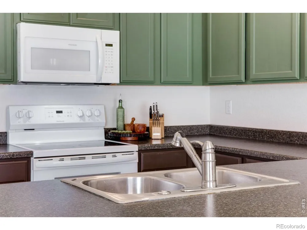 928 Barasingha Street Severance, CO 80550