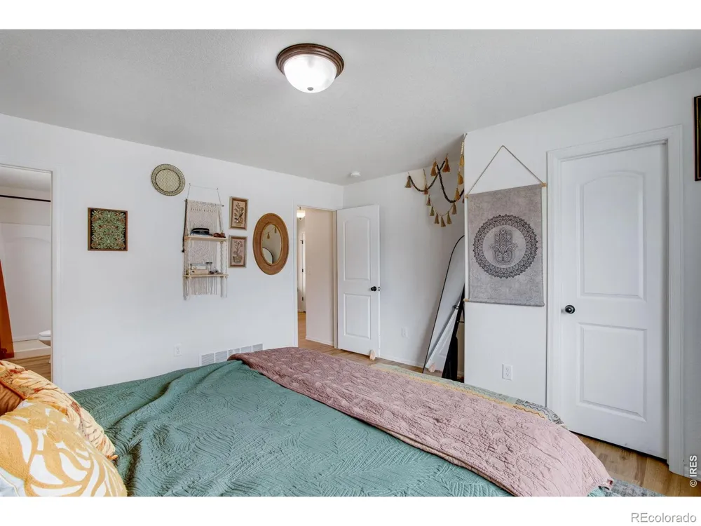 928 Barasingha Street Severance, CO 80550