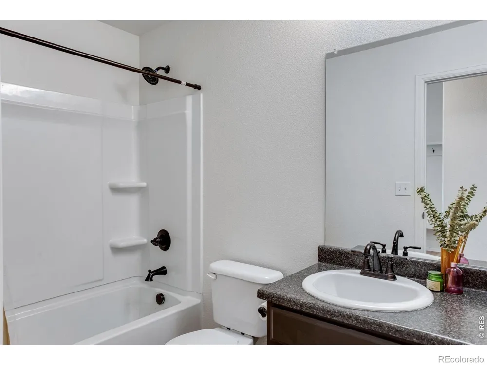 928 Barasingha Street Severance, CO 80550