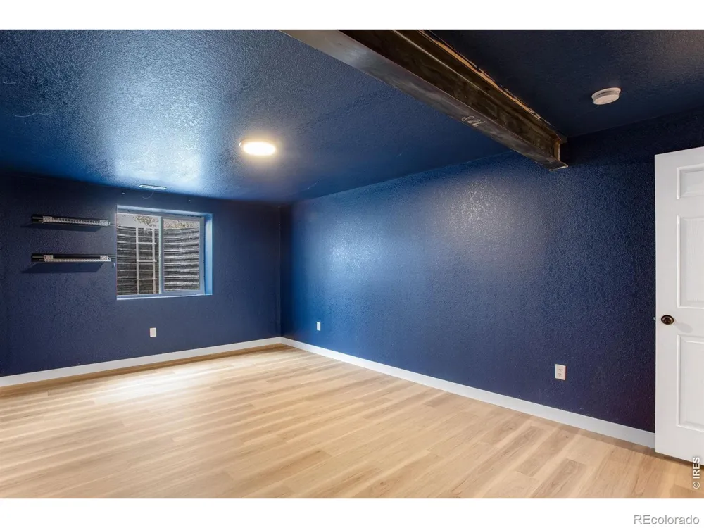 928 Barasingha Street Severance, CO 80550