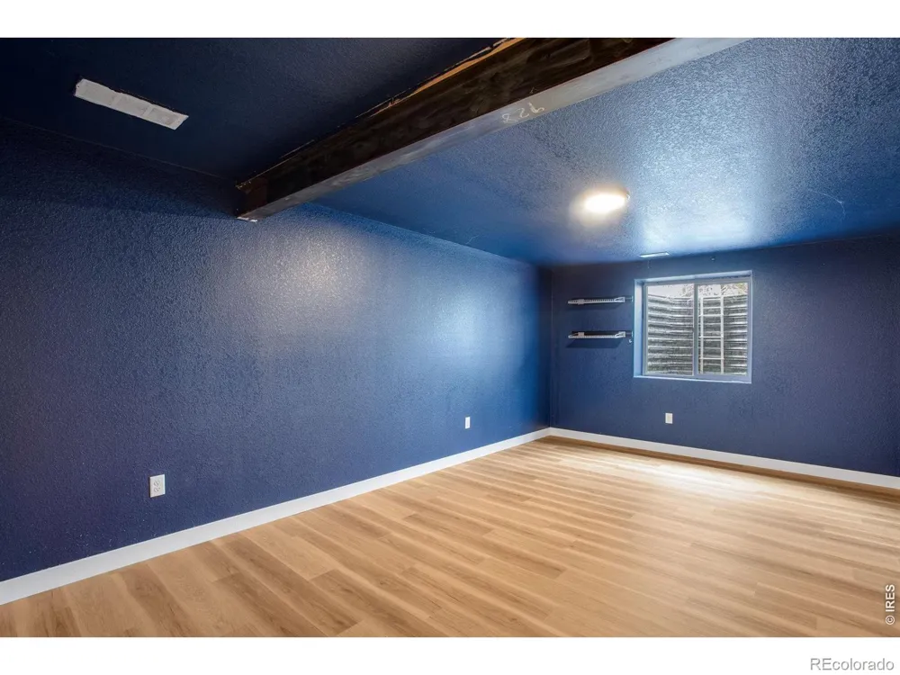 928 Barasingha Street Severance, CO 80550