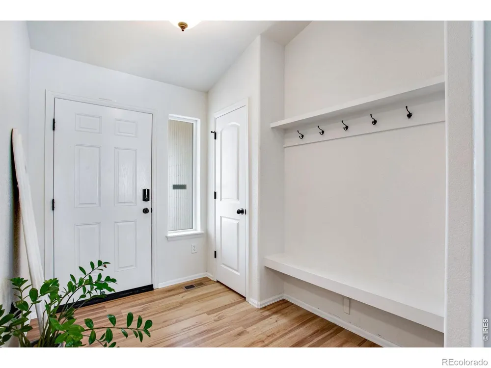 928 Barasingha Street Severance, CO 80550