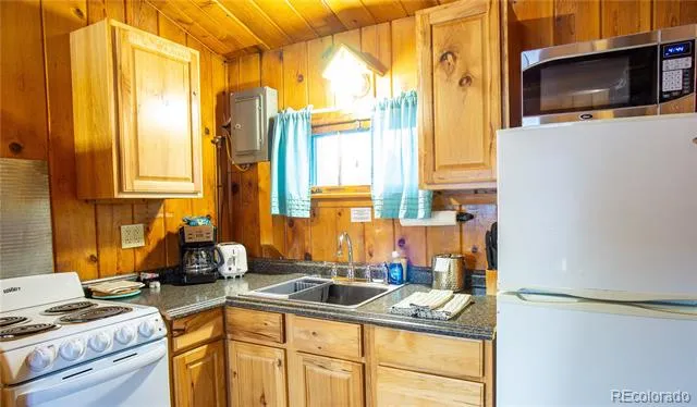 1004 W Main Street #4 Buena Vista, CO 81211