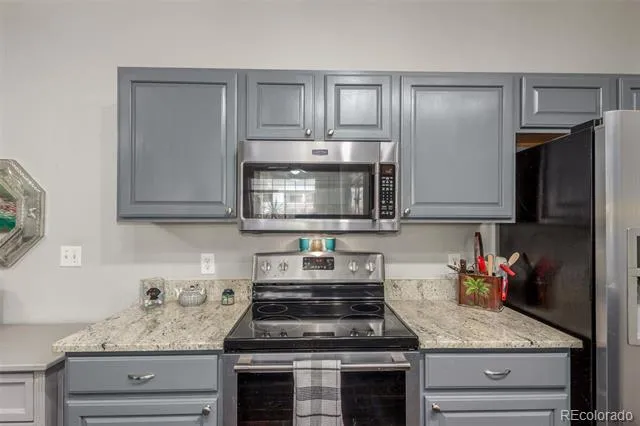 457 Black Feather Loop #702 Castle Rock, CO 80104