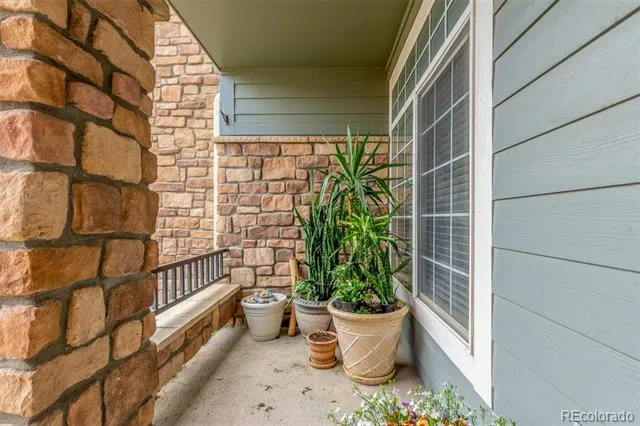 457 Black Feather Loop #702 Castle Rock, CO 80104