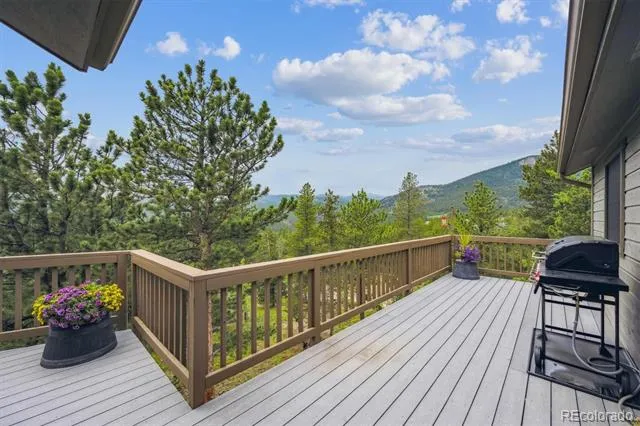 35 Pickle Point Black Hawk, CO 80422