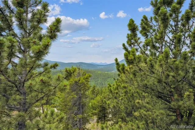 35 Pickle Point Black Hawk, CO 80422