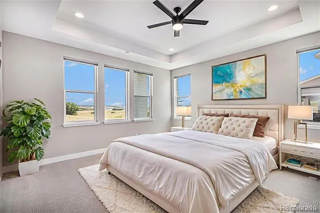 14341 Beebalm Loop Parker, CO 80134