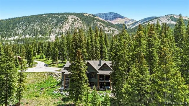 50 Cooney Court Blue River, CO 80424