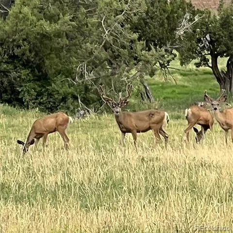 2997 Road 20.5 Cortez, CO 81321