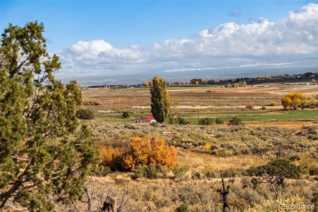 2997 Road 20.5 Cortez, CO 81321