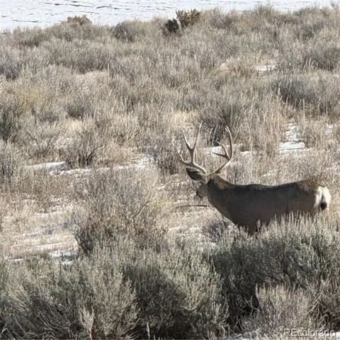 2997 Road 20.5 Cortez, CO 81321