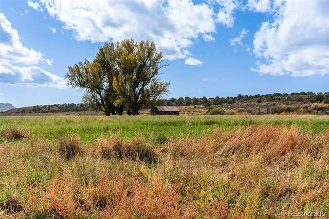 2997 Road 20.5 Cortez, CO 81321