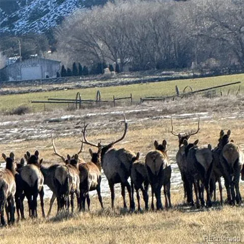 2997 Road 20.5 Cortez, CO 81321