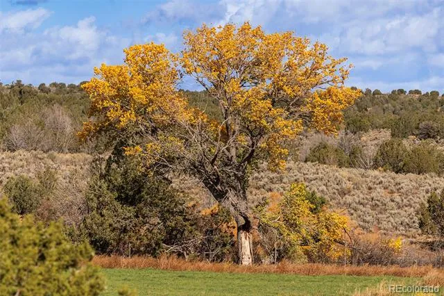 2997 Road 20.5 Cortez, CO 81321