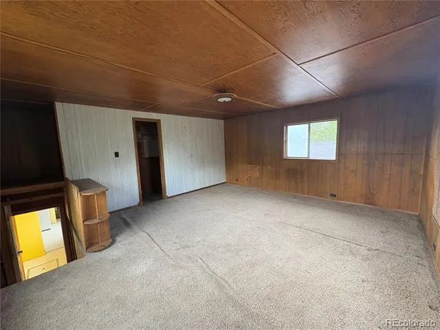 119 Mill Avenue Buena Vista, CO 81211