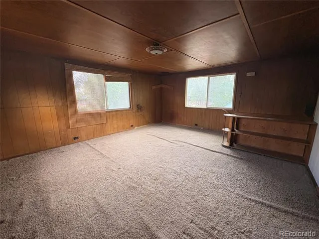 119 Mill Avenue Buena Vista, CO 81211