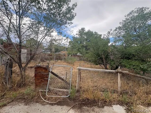 119 Mill Avenue Buena Vista, CO 81211