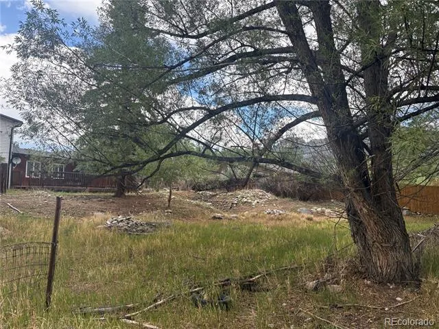 119 Mill Avenue Buena Vista, CO 81211