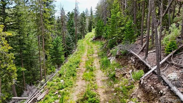 8077 Drew Hill Road Golden, CO 80403