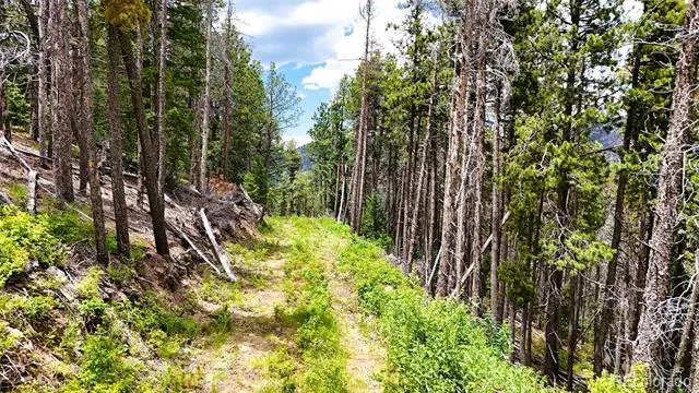 8077 Drew Hill Road Golden, CO 80403