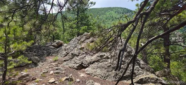 8077 Drew Hill Road Golden, CO 80403