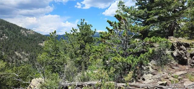 8077 Drew Hill Road Golden, CO 80403