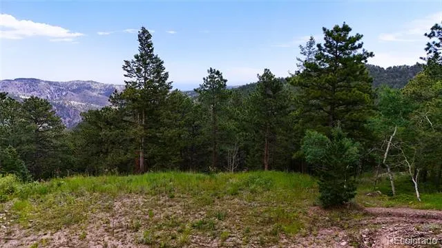8077 Drew Hill Road Golden, CO 80403