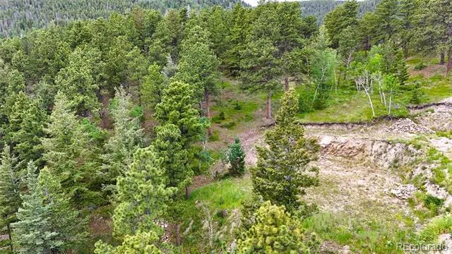 8077 Drew Hill Road Golden, CO 80403