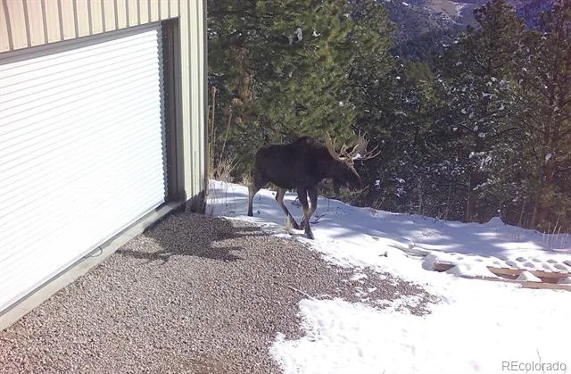 8077 Drew Hill Road Golden, CO 80403