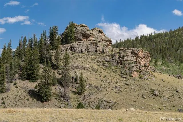 63 Welsh Cob Lane Como, CO 80432