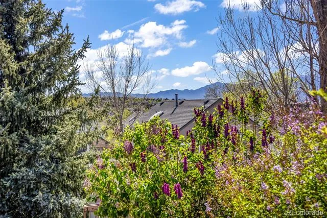 3545 Sedgewood Way Colorado Springs, CO 80918