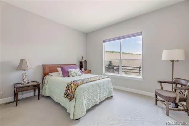 708 Alumroot Street Castle Rock, CO 80104