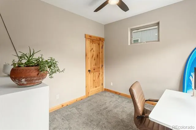 463 California Street Buena Vista, CO 81211