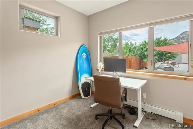 463 California Street Buena Vista, CO 81211