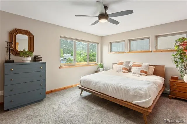 463 California Street Buena Vista, CO 81211