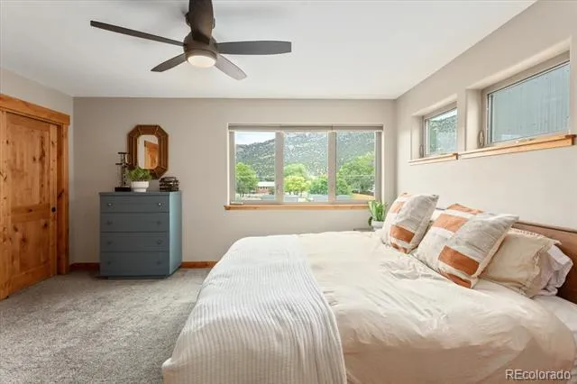 463 California Street Buena Vista, CO 81211