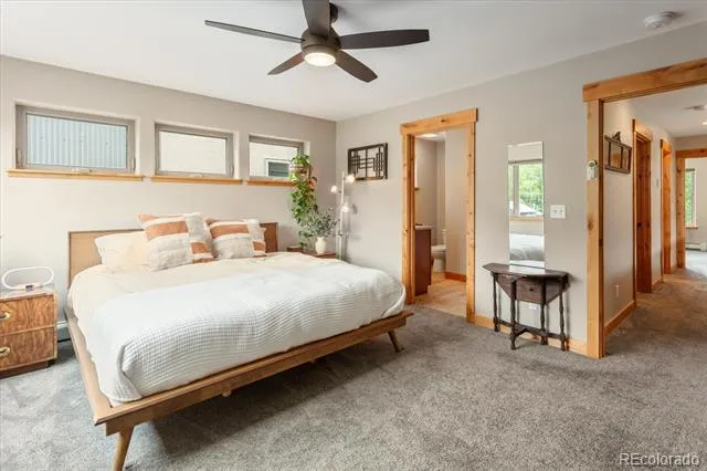 463 California Street Buena Vista, CO 81211
