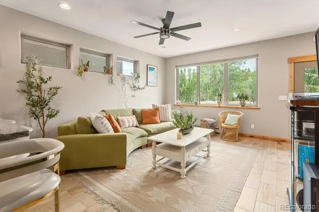 463 California Street Buena Vista, CO 81211