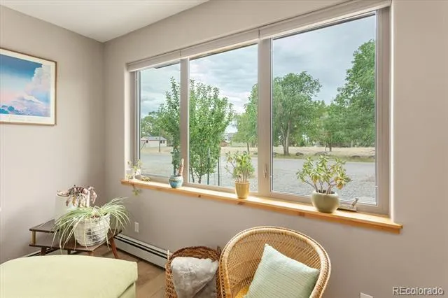 463 California Street Buena Vista, CO 81211
