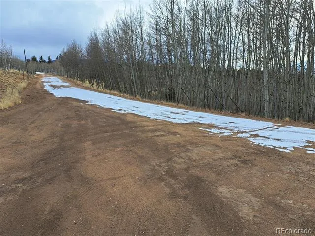 503 Sugar Loaf Lane Jefferson, CO 80456