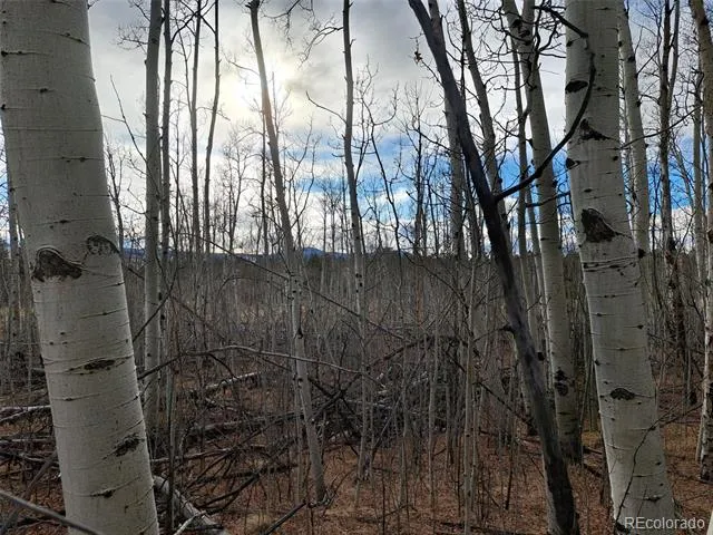 503 Sugar Loaf Lane Jefferson, CO 80456