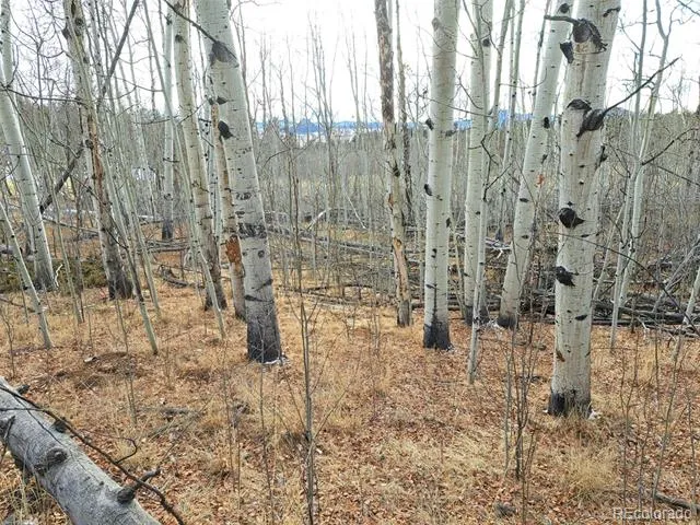 503 Sugar Loaf Lane Jefferson, CO 80456